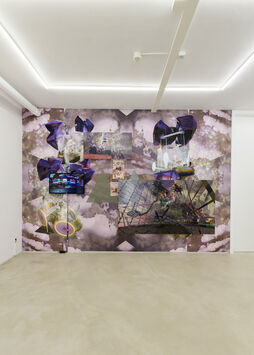 Two man show - Luis Gispert and Jacolby Satterwhite, installation view