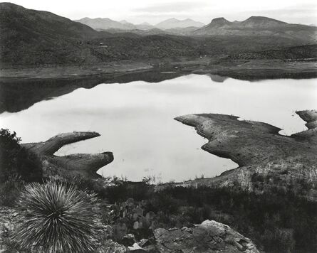 Edward Weston, ‘Arizona (San Carlos Lake)’, 1937