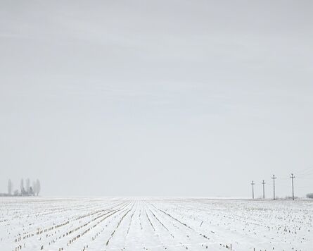 Tamas Dezso, ‘Winter Corn Field (near Turda, West Romania), 2012’, 2012