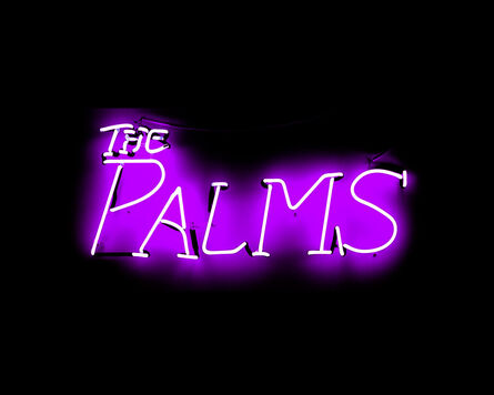 Pacifico Silano, ‘The Palms’, 2022