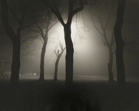 Alex Fradkin, ‘Six Trees at Night: Chicago, IL’, n/a