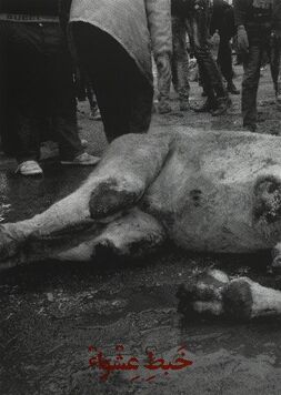 Mojtaba Amini, ‘Khabt-e Aswa’, 2014