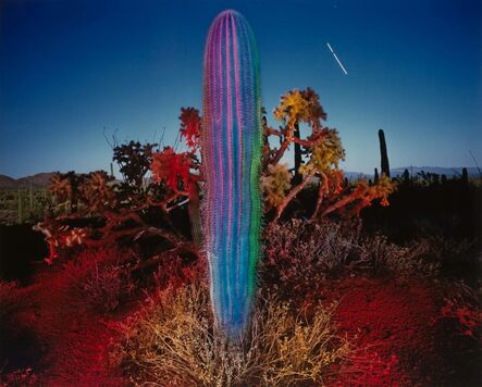 William Lesch, ‘Blue Saguaro with Jupiter’, 1988