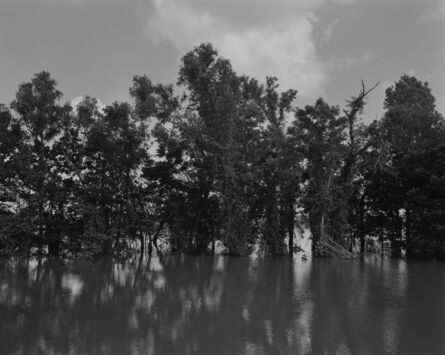 Dawoud Bey, ‘Mississippi River and Trees’, 2019