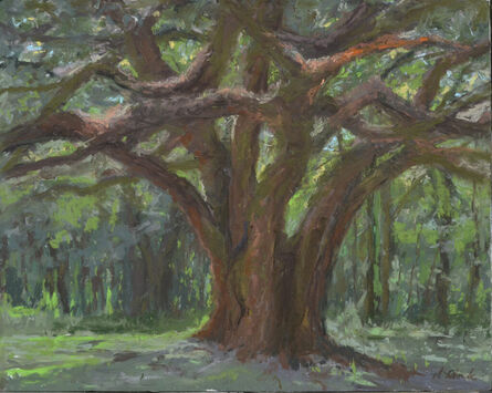 Mary Monk, ‘Oak Tree in the Morning Light’, 2023