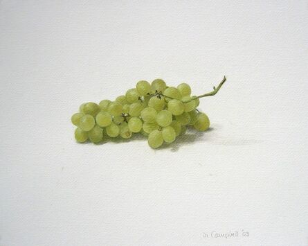 Donald Campbell, ‘Grapes’