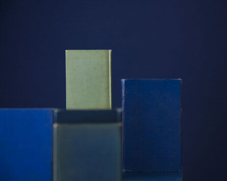 Mary Ellen Bartley, ‘Blue Books One Green’, 2010