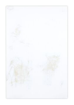 Fernando Garcia, ‘Sudario de Campins (VI)’, 2018