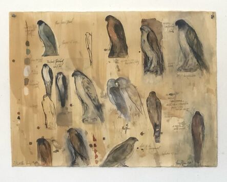 Jane Rosen, ‘The Bird I Touched’, 2010