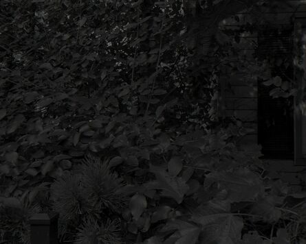 Dawoud Bey, ‘Night Coming Tenderly, Black: Untitled #8 (Leaves and House)’, 2017