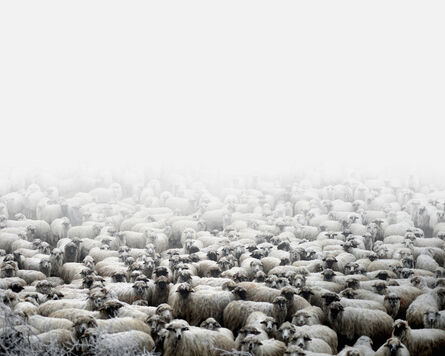 Tamas Dezso, ‘Sheep Farm (Silvasu de Sus, West Romania)’, 2012