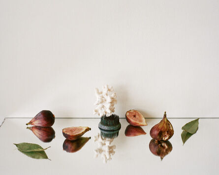 Celia Perrin Sidarous, ‘Some fresh figs’, 2024