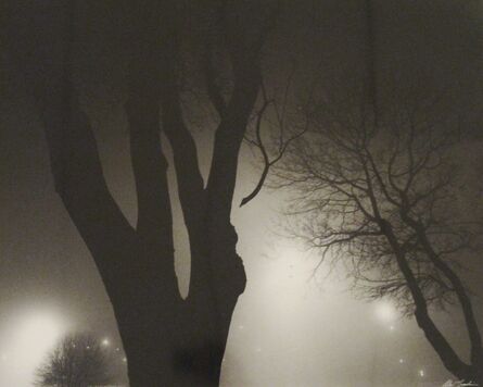 Alex Fradkin, ‘Tree at Night’, n/a