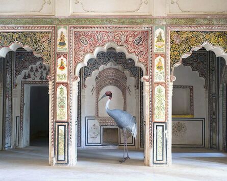 Karen Knorr, ‘The Search for Sattva’