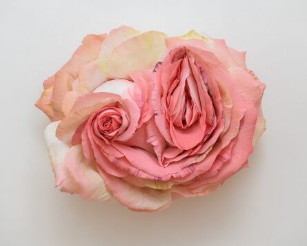 Tiffanie Turner, ‘Split Rose’, 2020