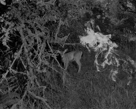 Dylan Hausthor, ‘deer and ghost’, 2022