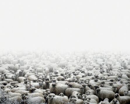 Tamas Dezso, ‘Sheep Farm (Silvasude Sus, West Romania)’, 2012