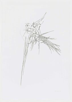 Theo Wujcik, ‘Paradiso’, 2000