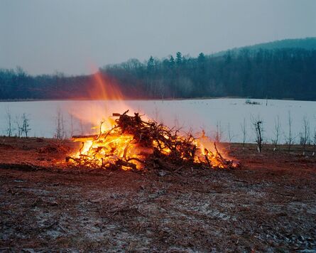 Tema Stauffer, ‘Orchard Burning, Livingston, New York ’, 2016