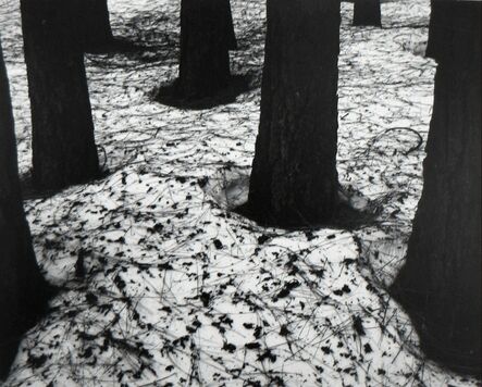 Brett Weston, ‘Pines in Snow, Yosemite’, 1950