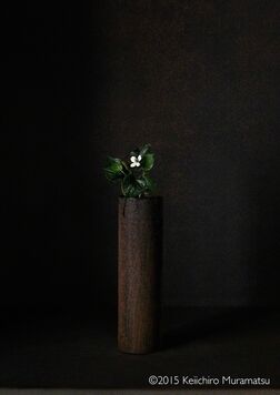 A Stage - Keiichiro Muratmasu - Photographe, installation view