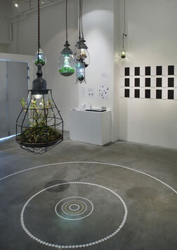 vol.56 Kaichi Sugiyama "Circulation", installation view