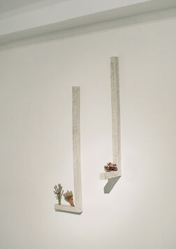 vol.59 Kouichi Uchida  Kouhei Oda  "Cactus Vessel Space", installation view