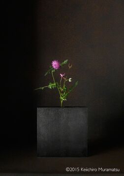 A Stage - Keiichiro Muratmasu - Photographe, installation view