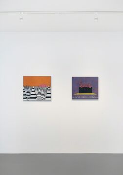 Rock-hard Aura and the Lost Explorer, installation view