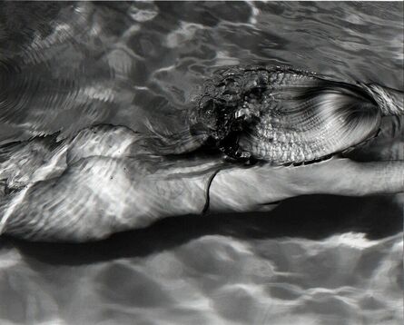 Michael Dweck, ‘Mermaid 1, Amagansett’, 2005