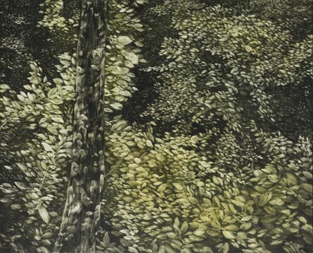 SO YOUNG KWON 권소영, ‘Forest’, 2017