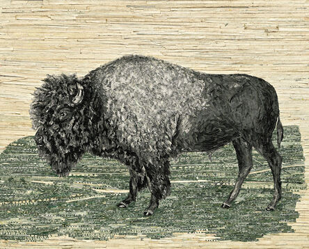 Vik Muniz, ‘American Bison, after John James Audubon, Legal Tender’, 2024