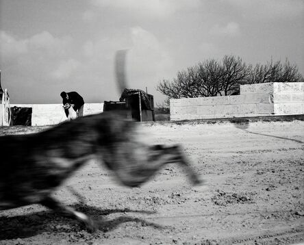 Chris Steele Perkins, ‘Greyhound race, County Durham’, 2002