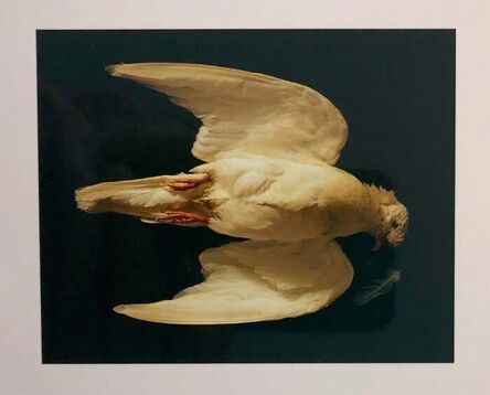 Brenda Zlamany, ‘Untitled’, 1990-1999