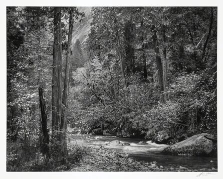 Ansel Adams, ‘Tenaya Creek, Dogwood, Rain, Yosemite Valley, California’, 1948
