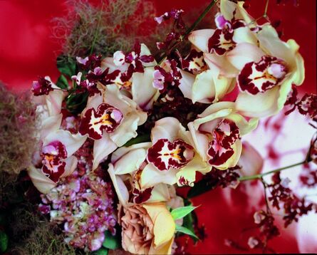 Nobuyoshi Araki, ‘Flowers’, 2007
