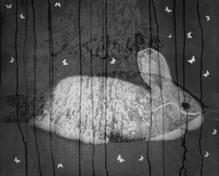 Zhiguo Li, ‘Rabbit-Fish’, 2013