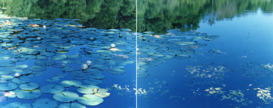 Water Mirror 16, WM-634, 636 (diptych)