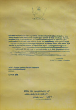 Fatma Al Ali, ‘ It's not easy to persuade Arabs to do this.’, 2022