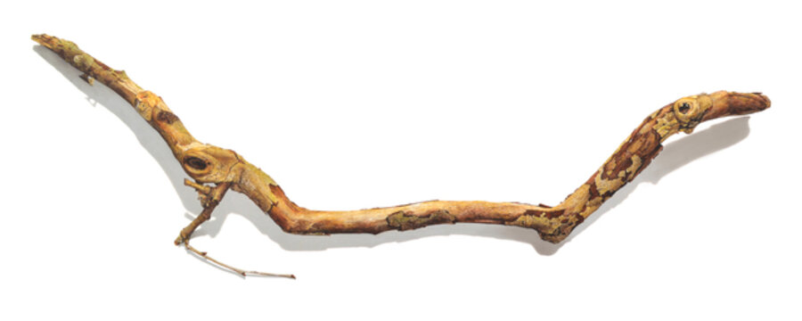 Stick Series No. 13