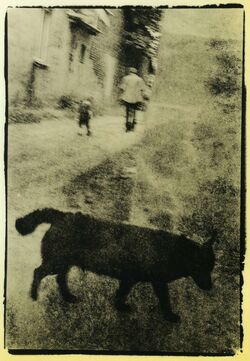 Vladislav Krasnoschek, ‘From the "Pscychodelic walk" series.’, 2011