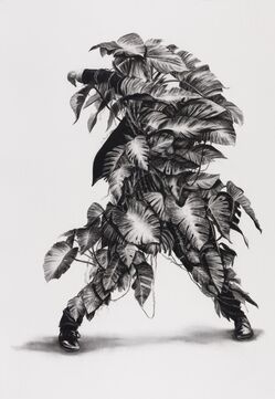 Gonzalo Fuenmayor, ‘Botanical Improvisations #4’, 2020