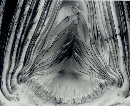 Edward Weston, ‘Artichoke, Halved’, 1930