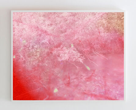 Tealia Ellis Ritter, ‘Untitled (Pink)’, 2013