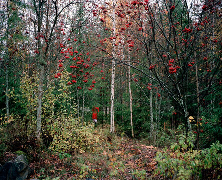 Anni Leppälä, ‘Autumn’, 2007