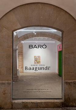 BAAGUNDI!, installation view