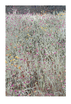 Aziz + Cucher, ‘Scenapse_CMA’, 2019