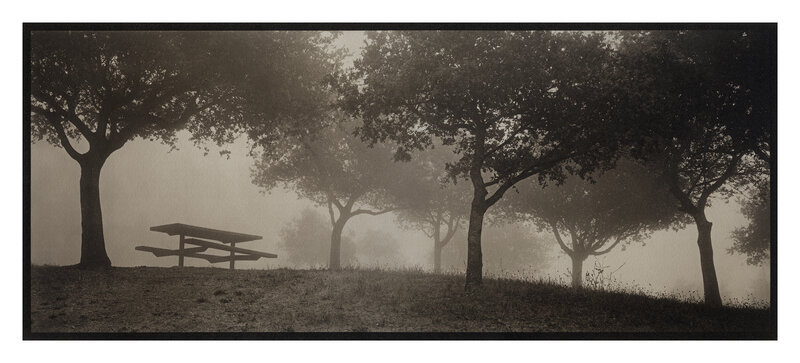 Kerik Kouklis, ‘Bench and Trees in Fog, Tilden Park, Oakland, CA’, 1995, Photography, Platinum/Palladium, Veritas Editions 