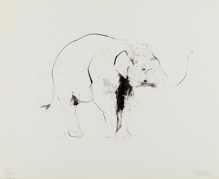 Dave White, ‘Elephant II’, circa 2017