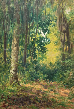 George Frederick Morse, ‘Hubbard Park, Crescent City, Florida’, 1906